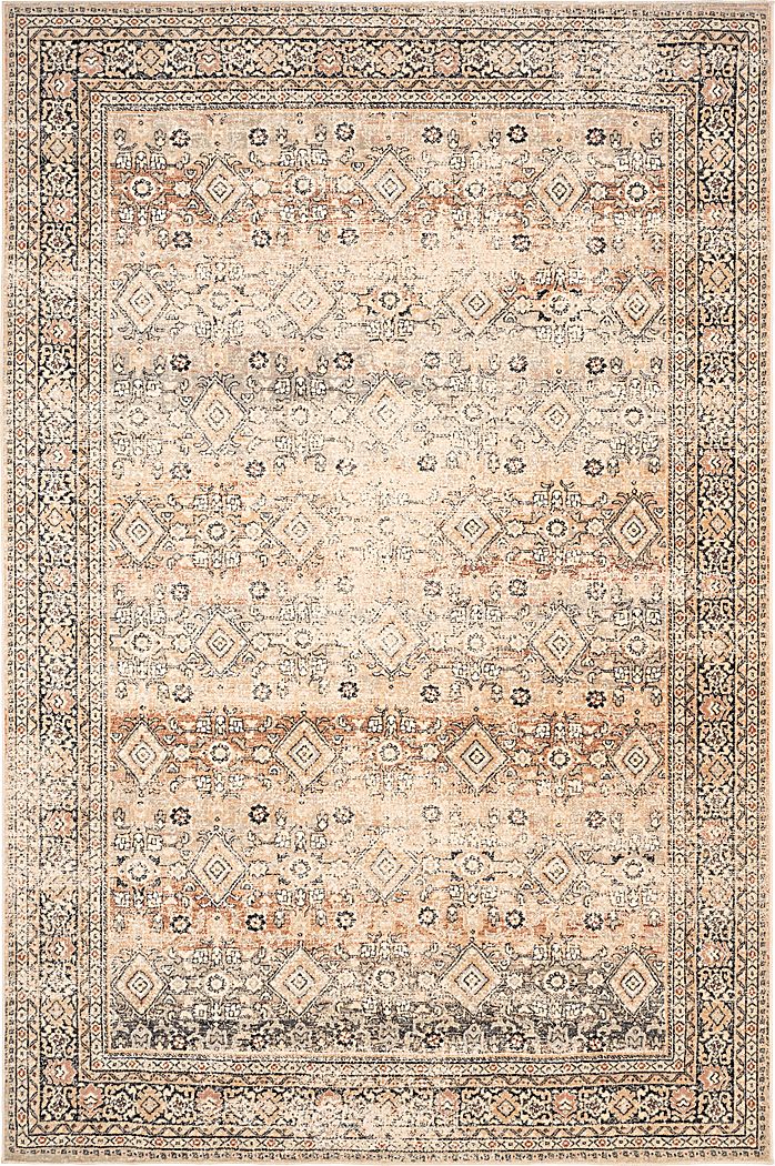 Delstead Multi 5'3 x 7'6 Rug