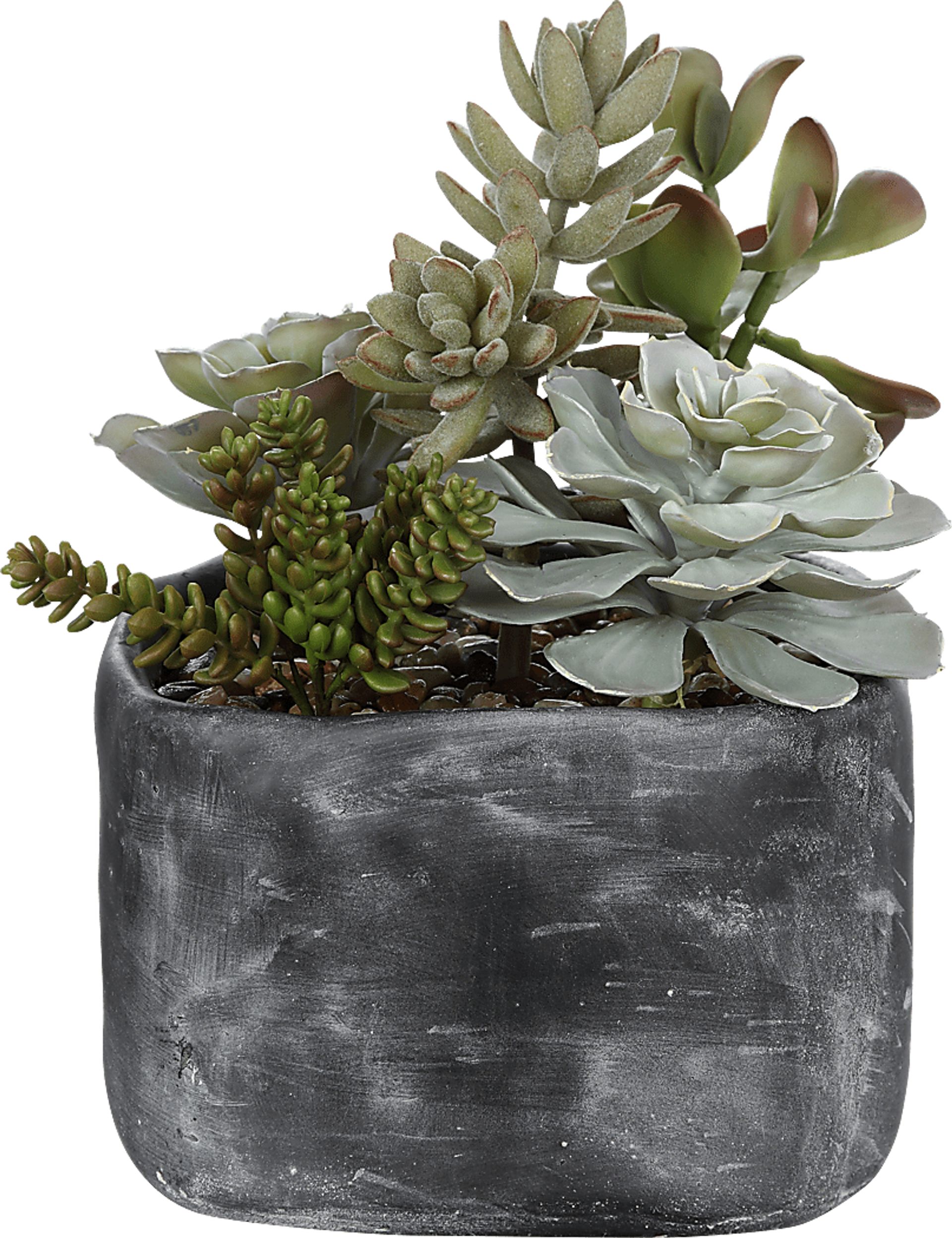 Dezlyn Gray Decorative Plant - Image 1
