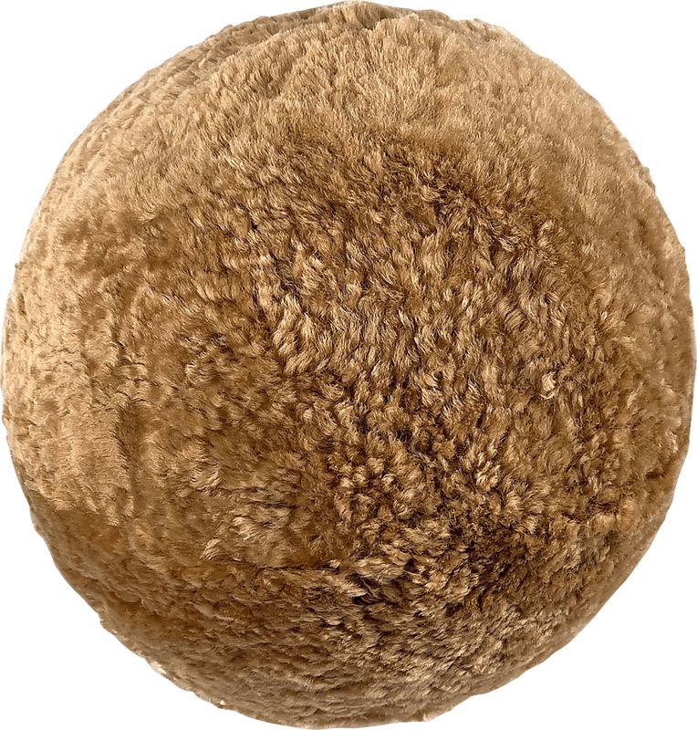 Digges I Brown Accent Pillow