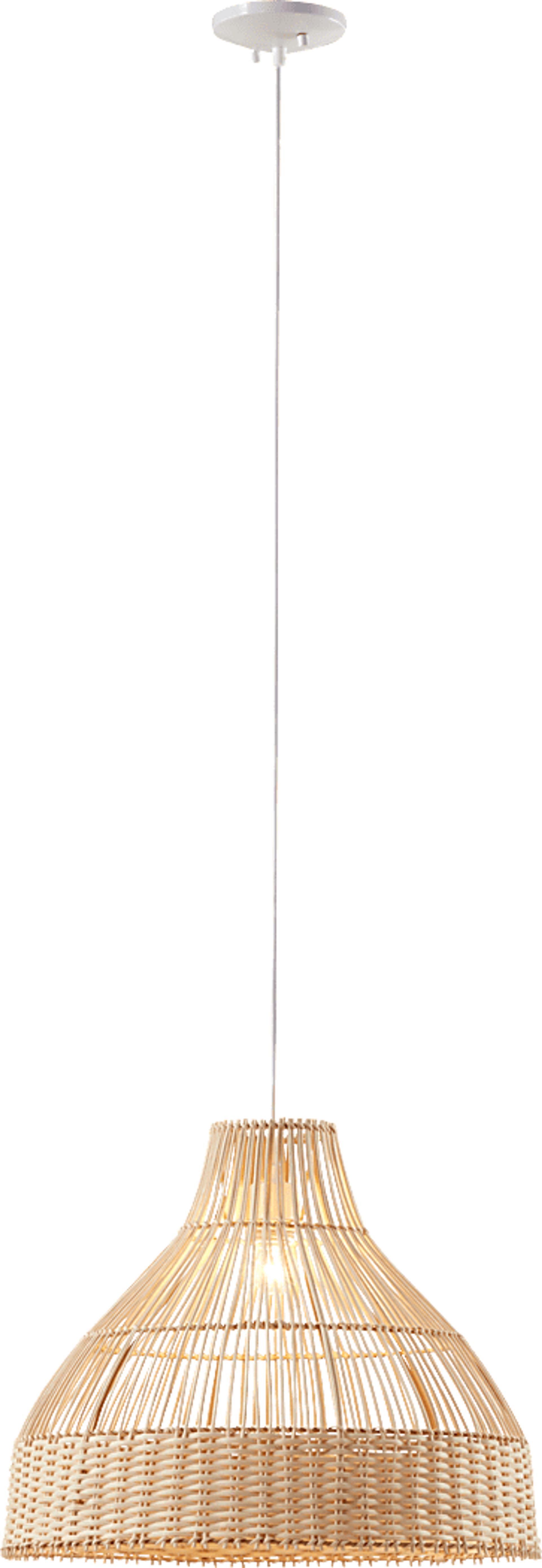 Distel Place Natural Pendant - Image 6