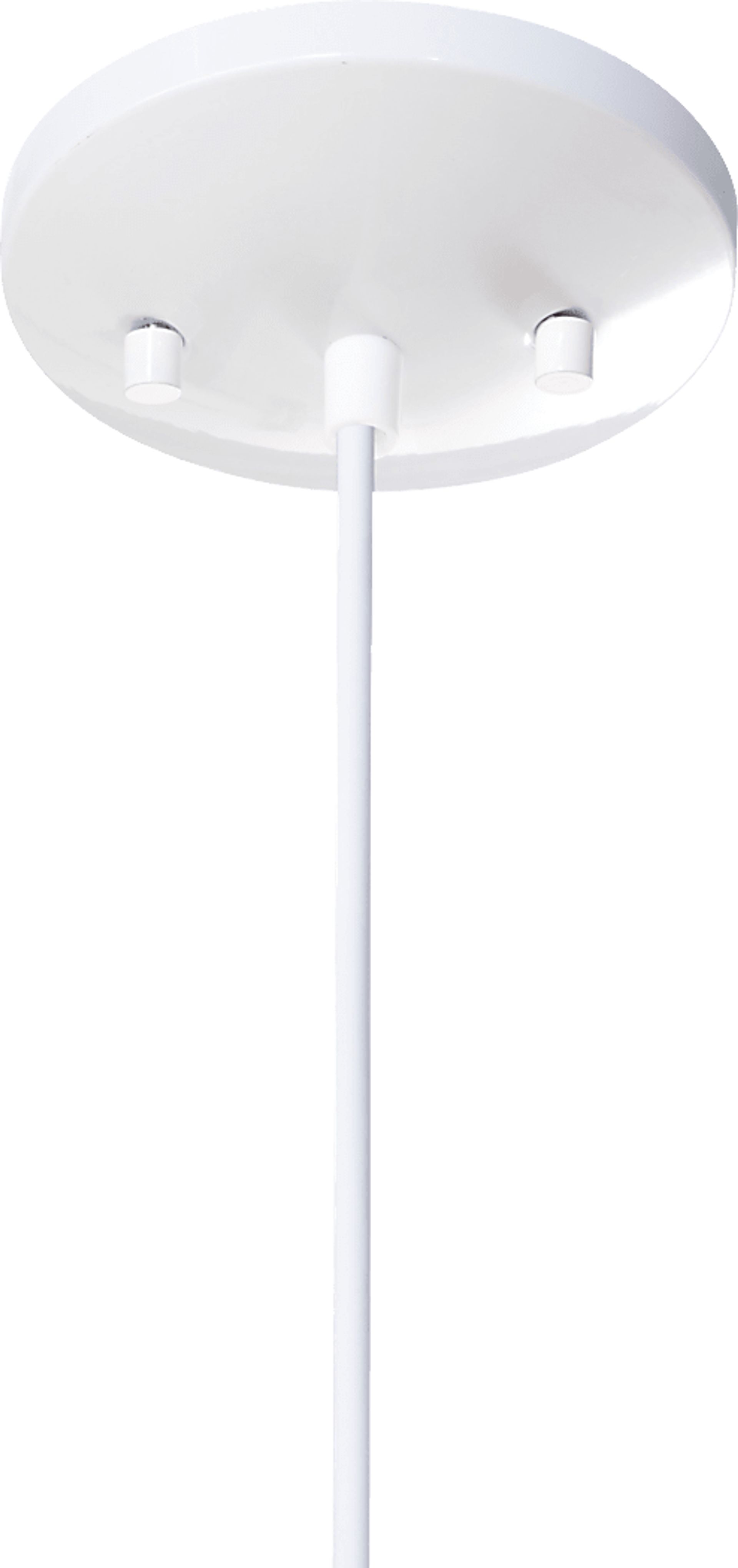 Distel Place Natural Pendant - Image 8