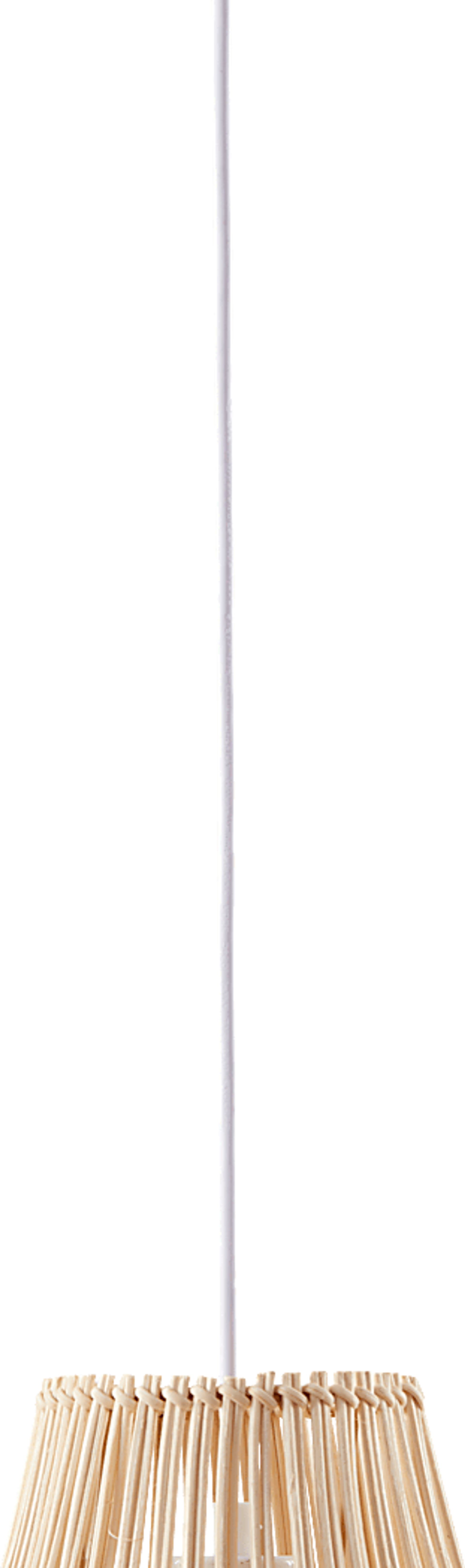 Distel Place Natural Pendant - Image 9