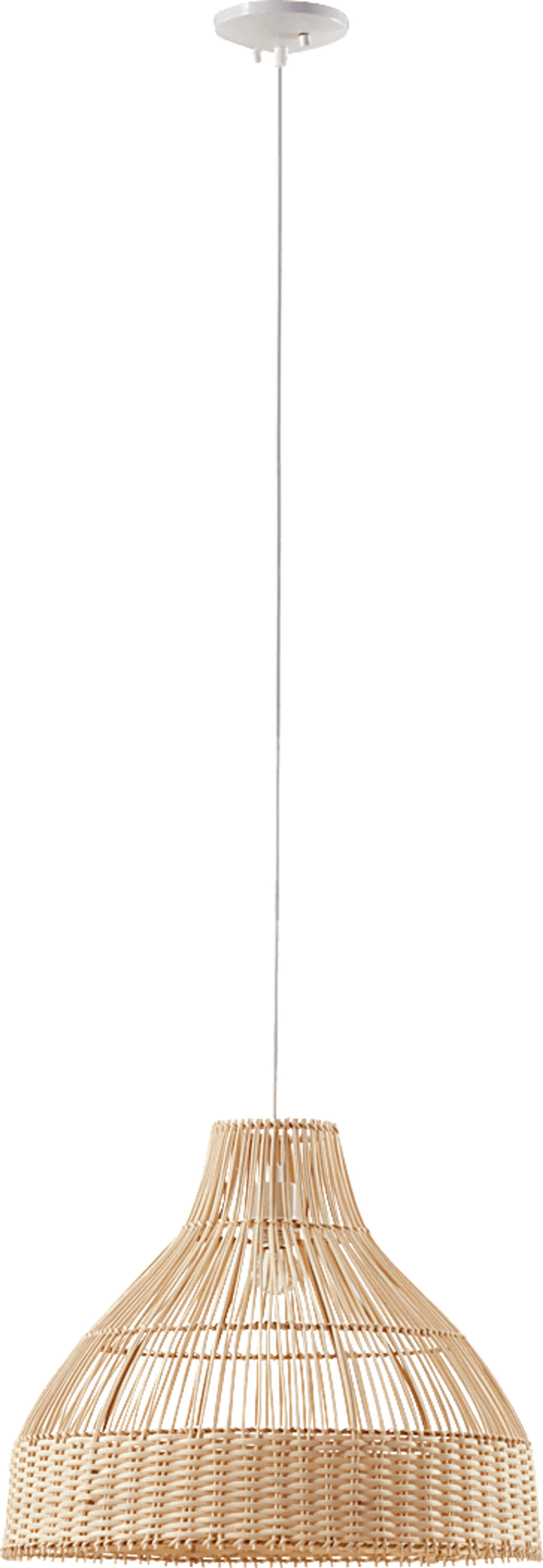 Distel Place Natural Pendant - Image 1