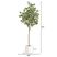 Docena Green Tree with Planter