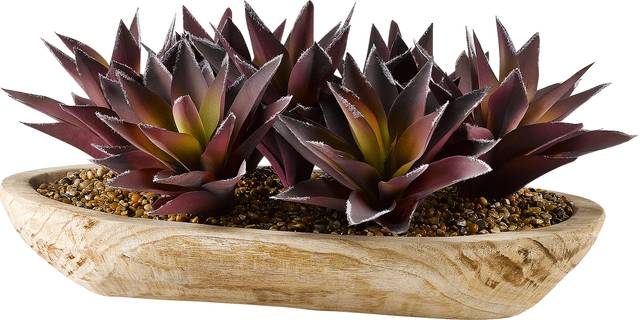 Domenica Purple Aloe Silk Plant - Thumbnail - Image 1