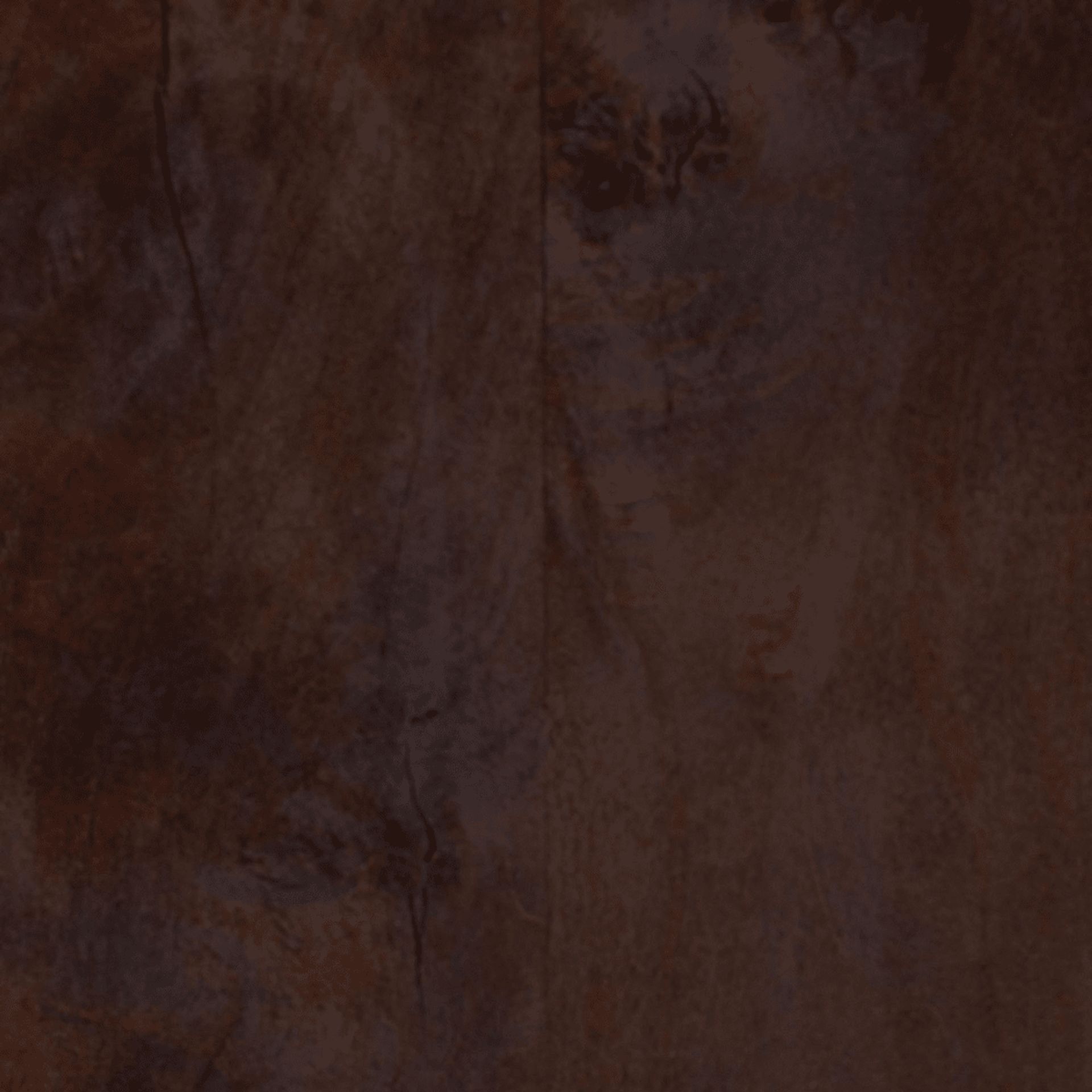 Driftfruit Dark Brown Console Table - Image 5