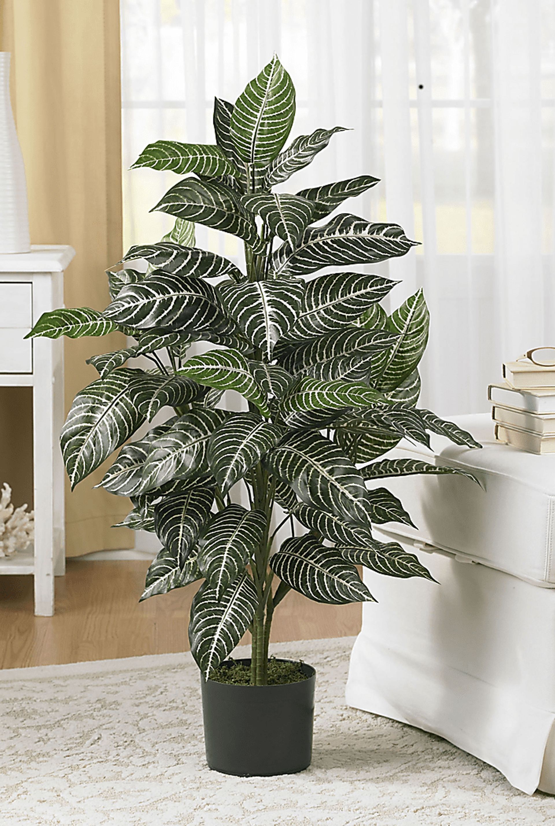Dynah Green Zebra Silk Plant - Image 2