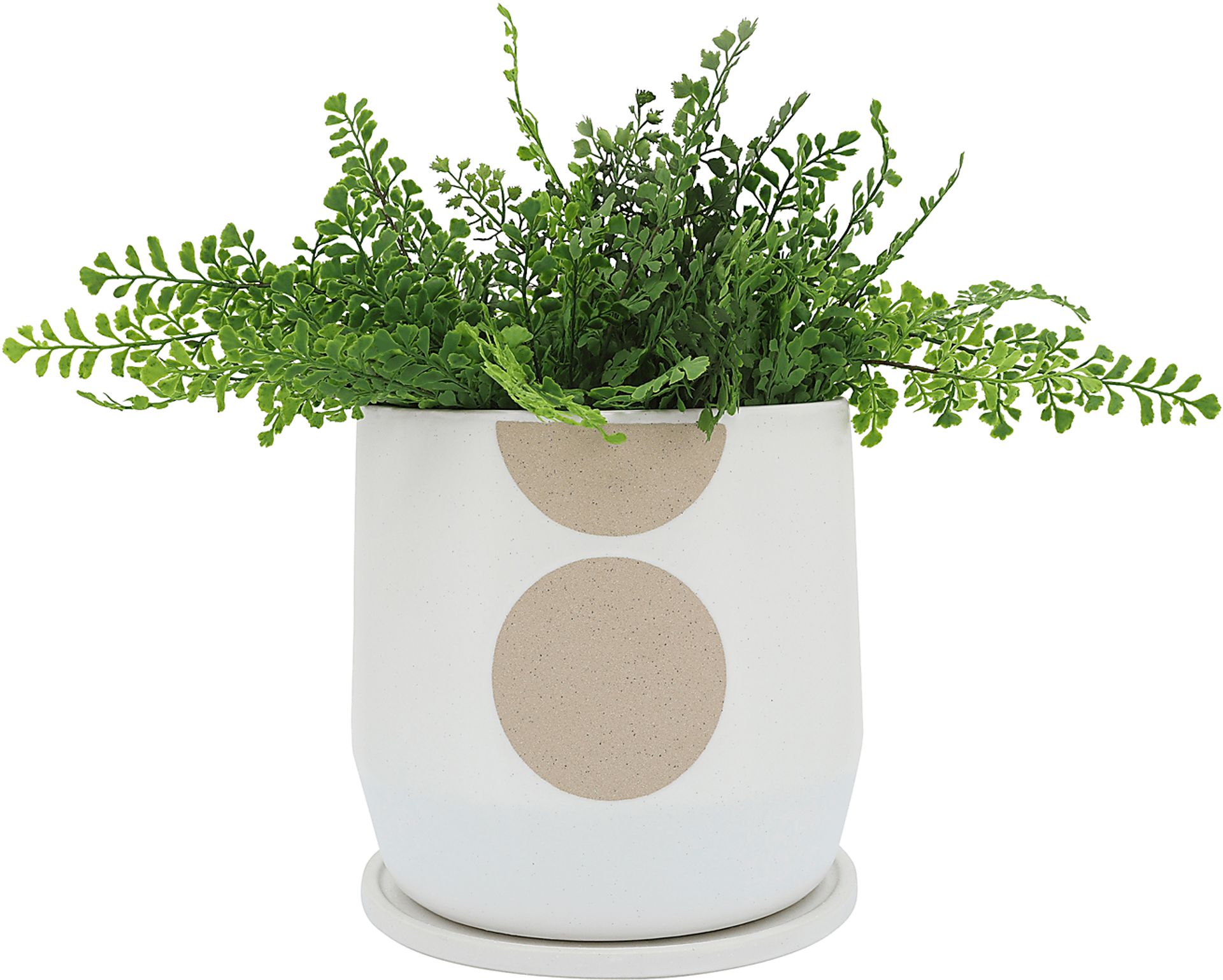 Eagerton Tan Planter - Image 2