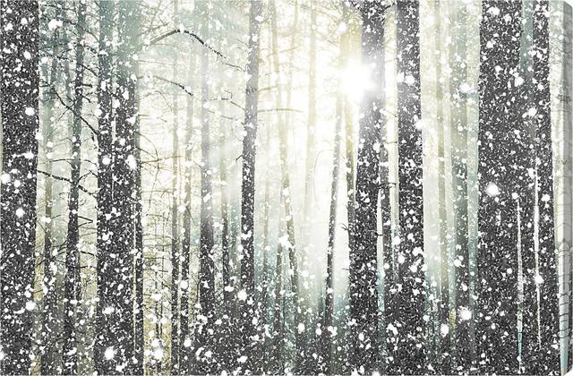 Early Winter Gray Artwork - Thumbnail - Image 1