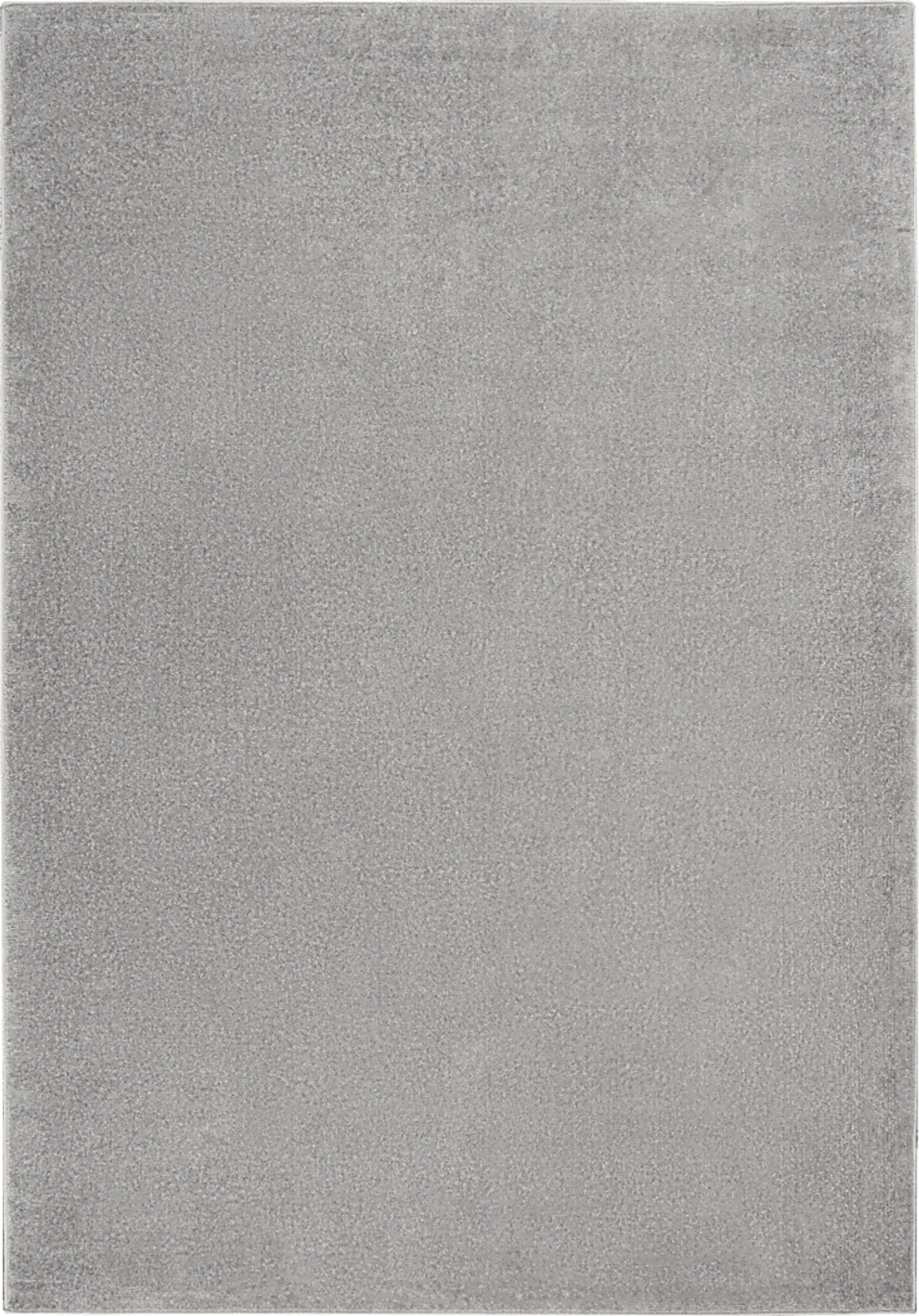 Easthagen Gray 5' x 7' Indoor/Outdoor Rug - Image 1