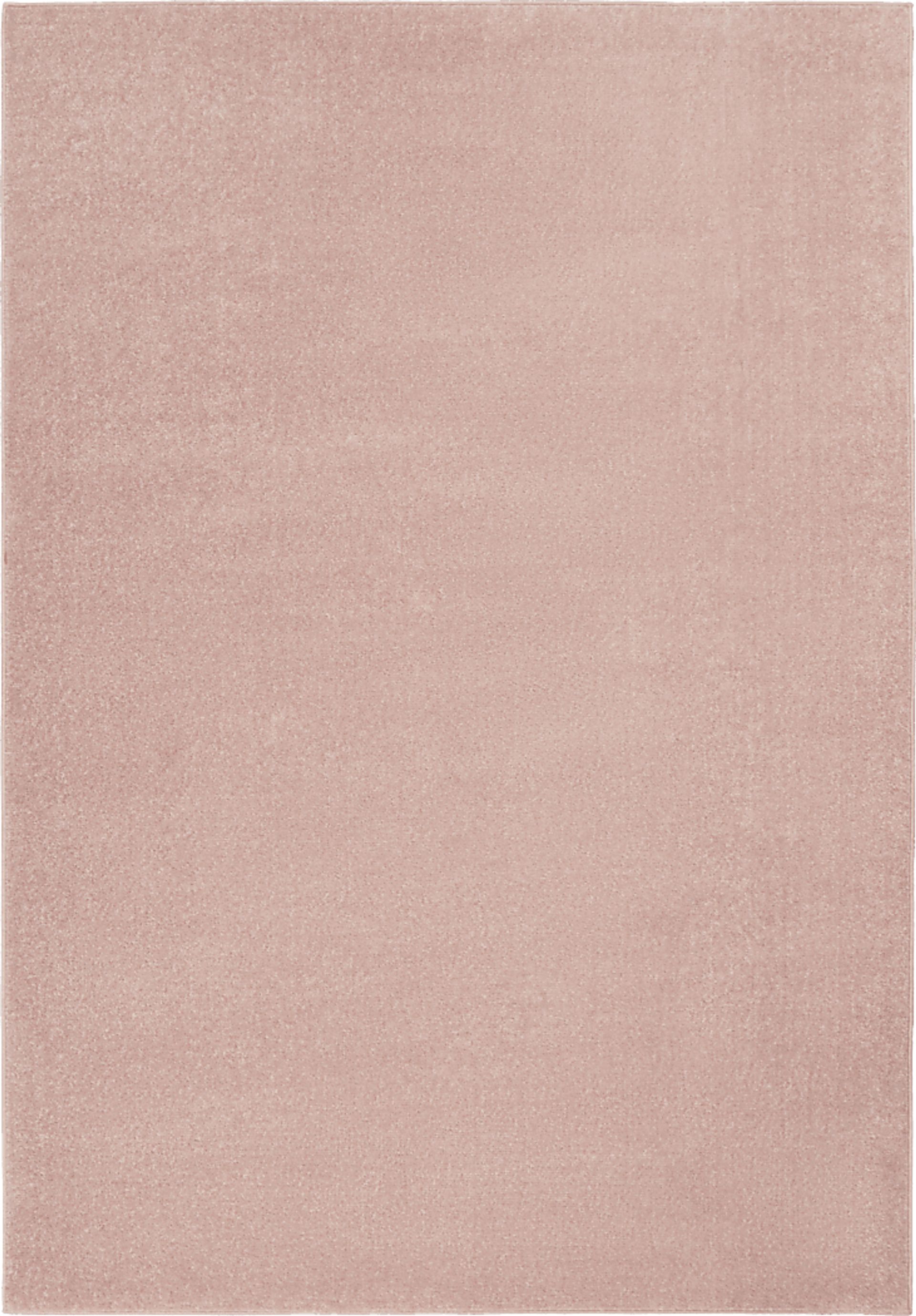 Easthagen Pink 5' x 7' Indoor/Outdoor Rug - Image 1