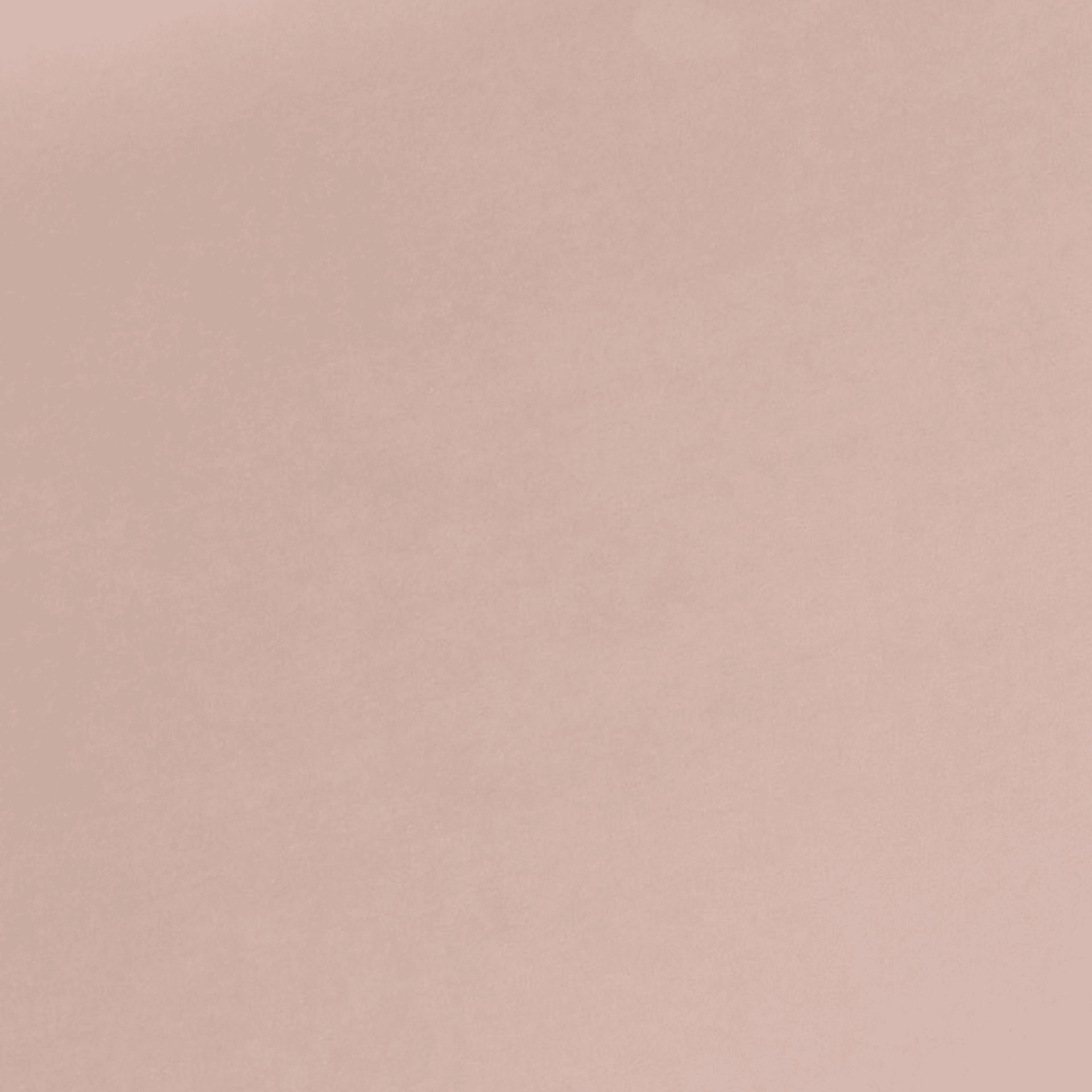 Eauclair Blush Storage Bench - Image 6