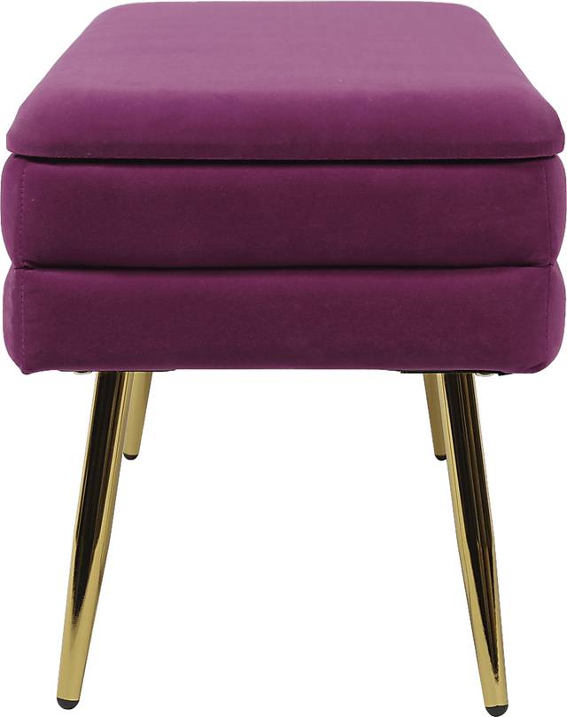 Eauclair Plum Storage Bench - Thumbnail - Image 5