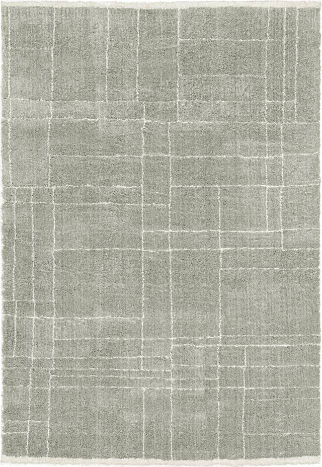 Ecto Park Gray 5'3 x 7'6 Rug - Thumbnail - Image 1