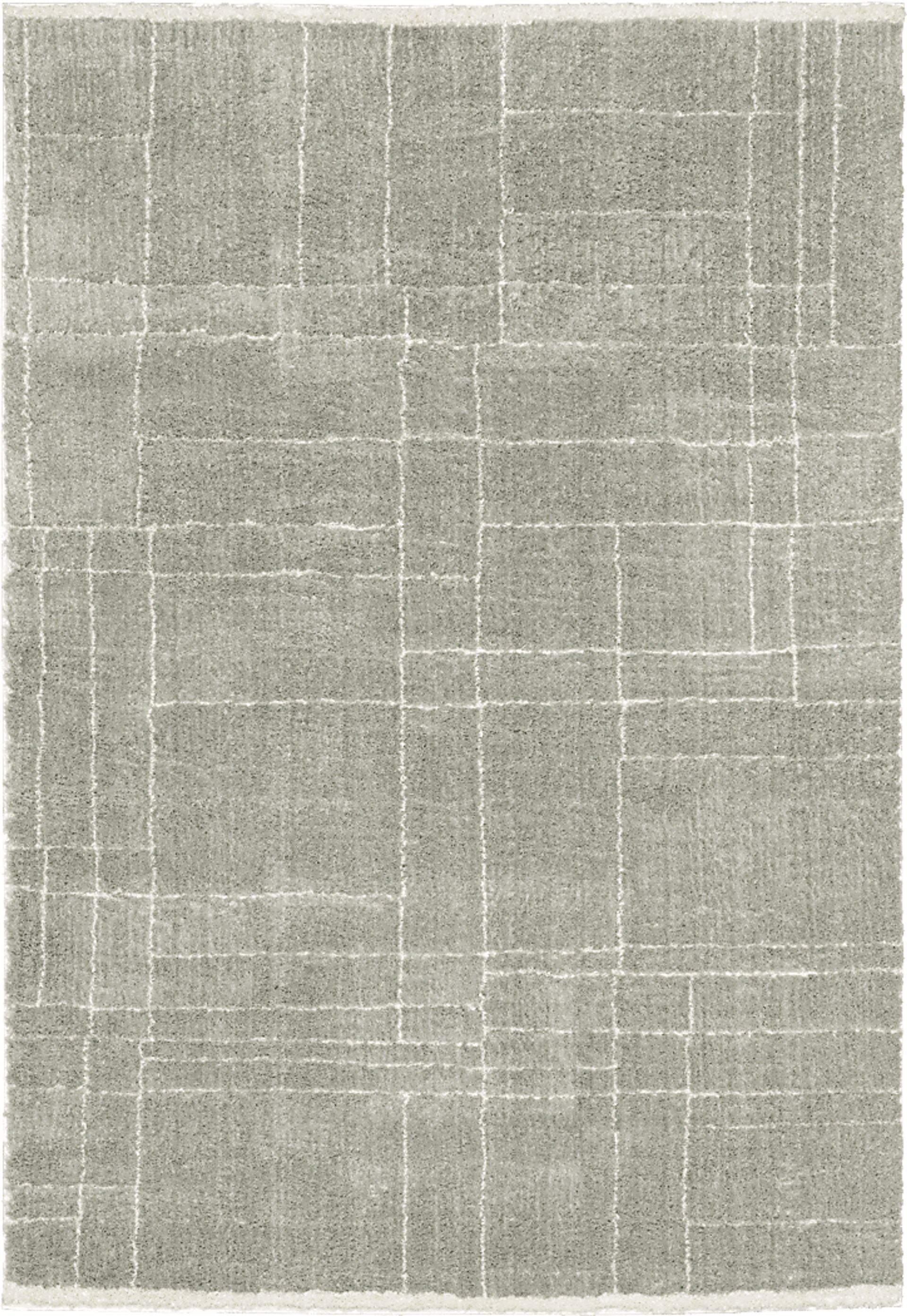 Ecto Park Gray 6'7 x 9'6 Rug - Image 1