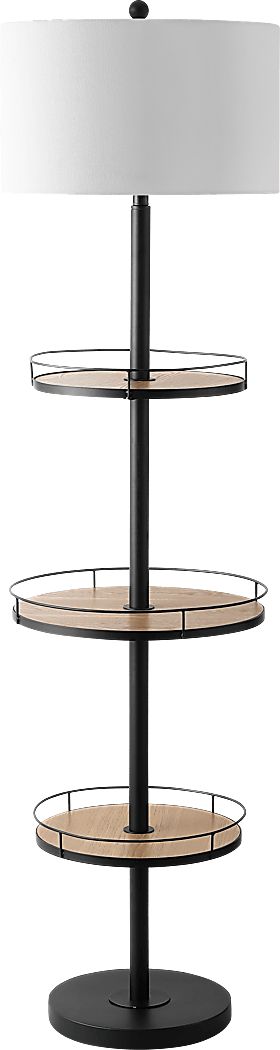 Edmore Hills Black Floor Lamp
