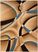 Edrea Blue 5' x 7'3 Rug