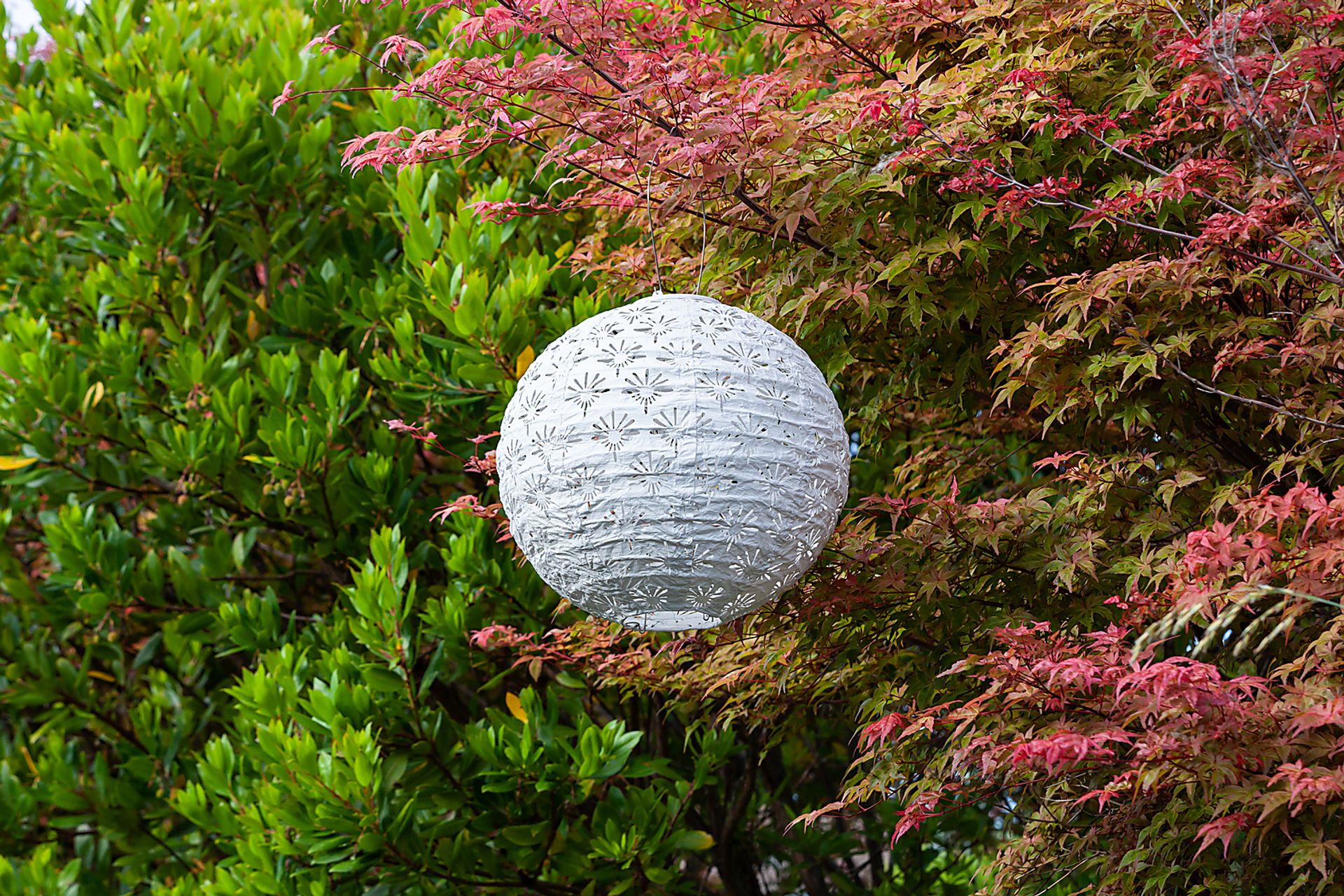 Eger Club Outdoor White Solar Lantern - Image 12