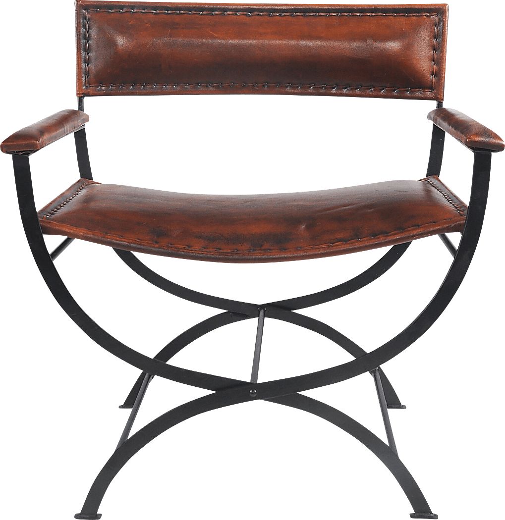 Egoria Brown Accent Chair