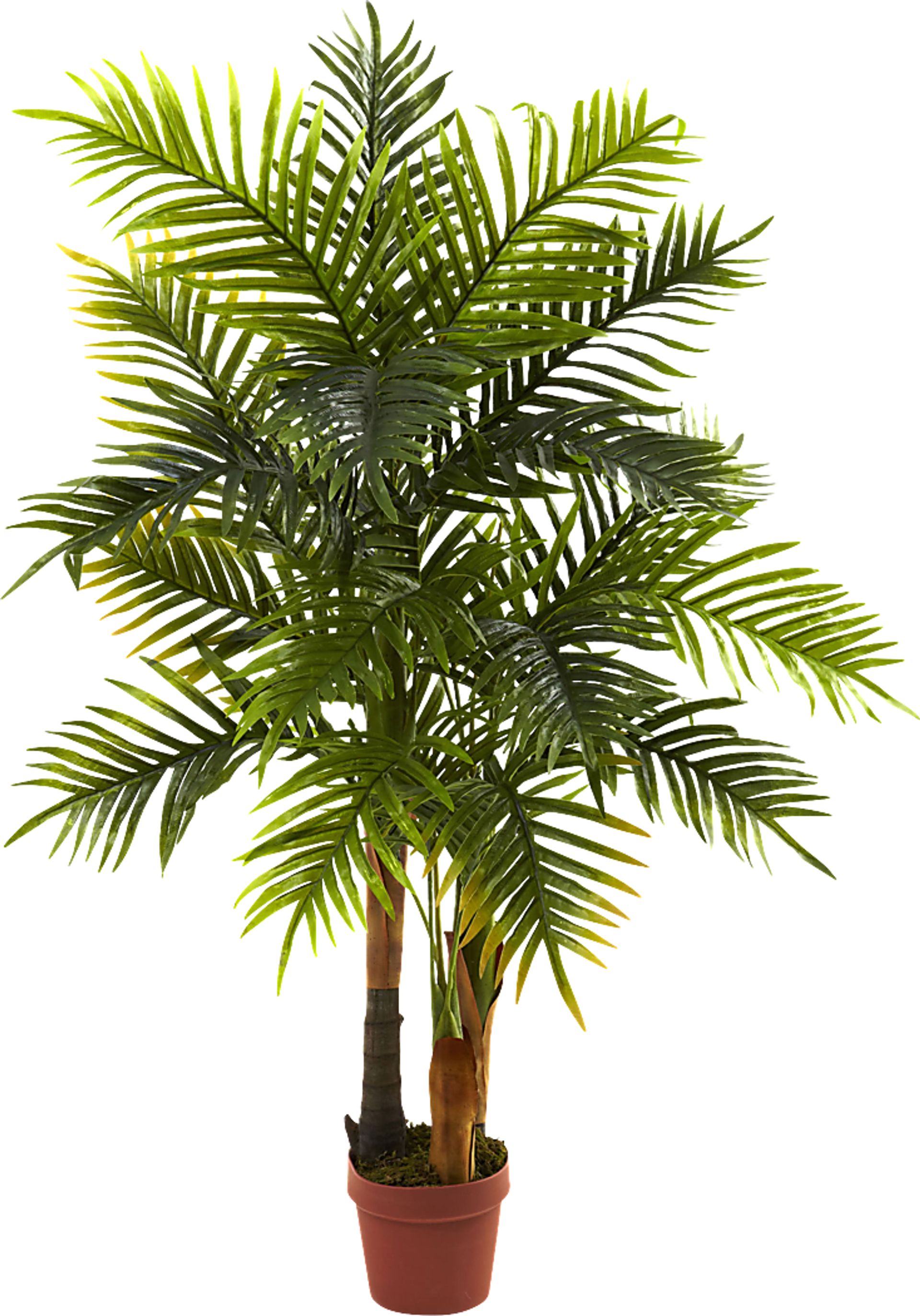 Eiza Green Palm Silk Tree - Image 1