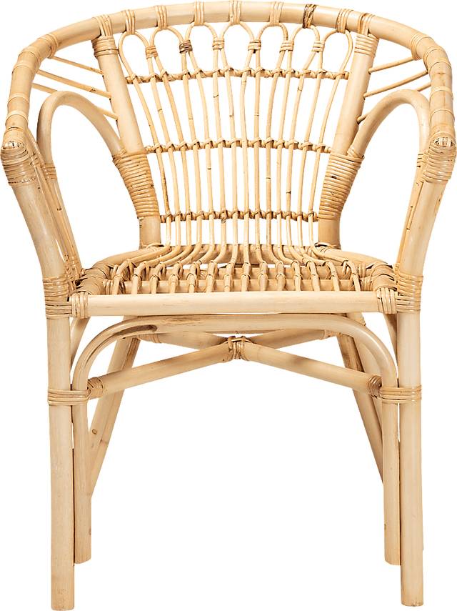 Elinaor Brown Arm Chair - Thumbnail - Image 3