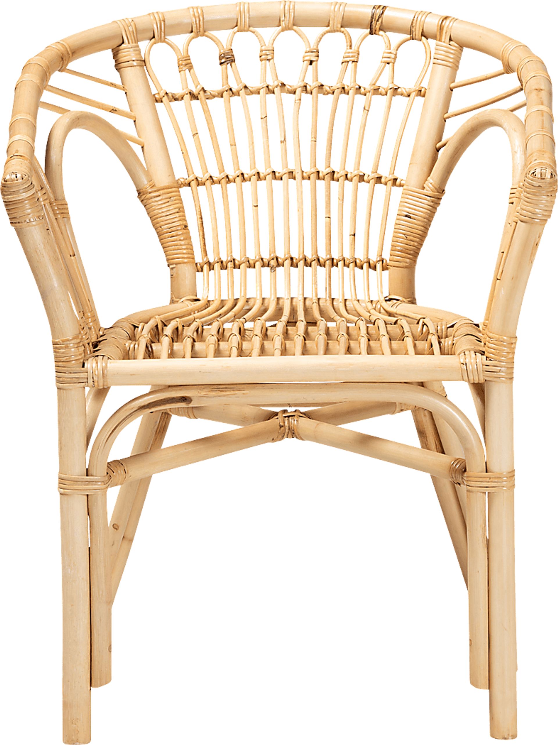 Elinaor Brown Arm Chair - Image 3