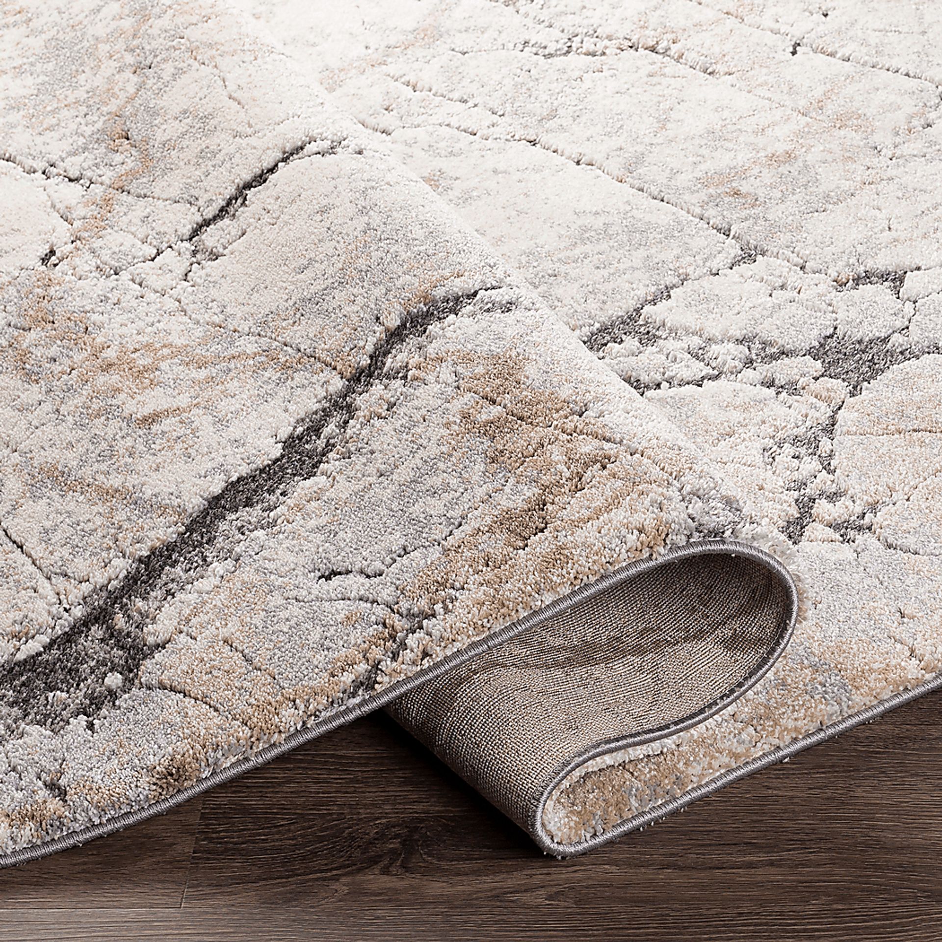 Eliud Cream 5'3 x 7'3 Rug - Image 3