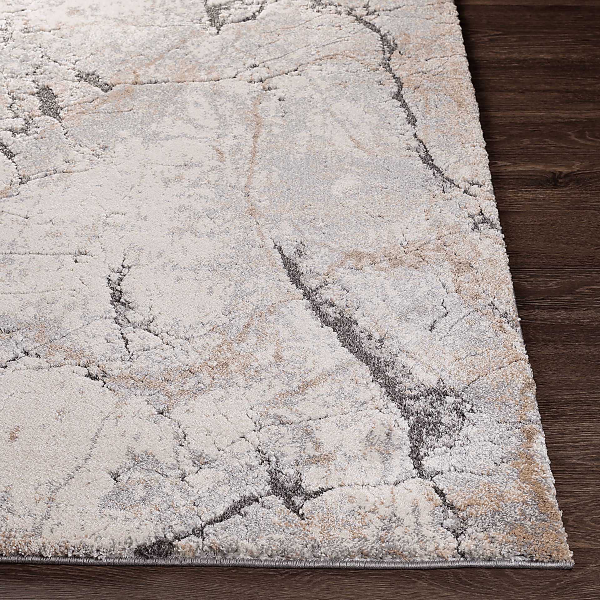 Eliud Cream 5'3 x 7'3 Rug - Image 4
