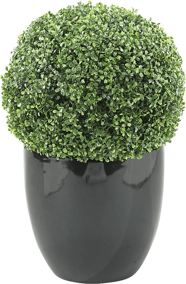 Elland Green 30 in. Artificial Boxwood Ball in Black Planter - Thumbnail - Image 1