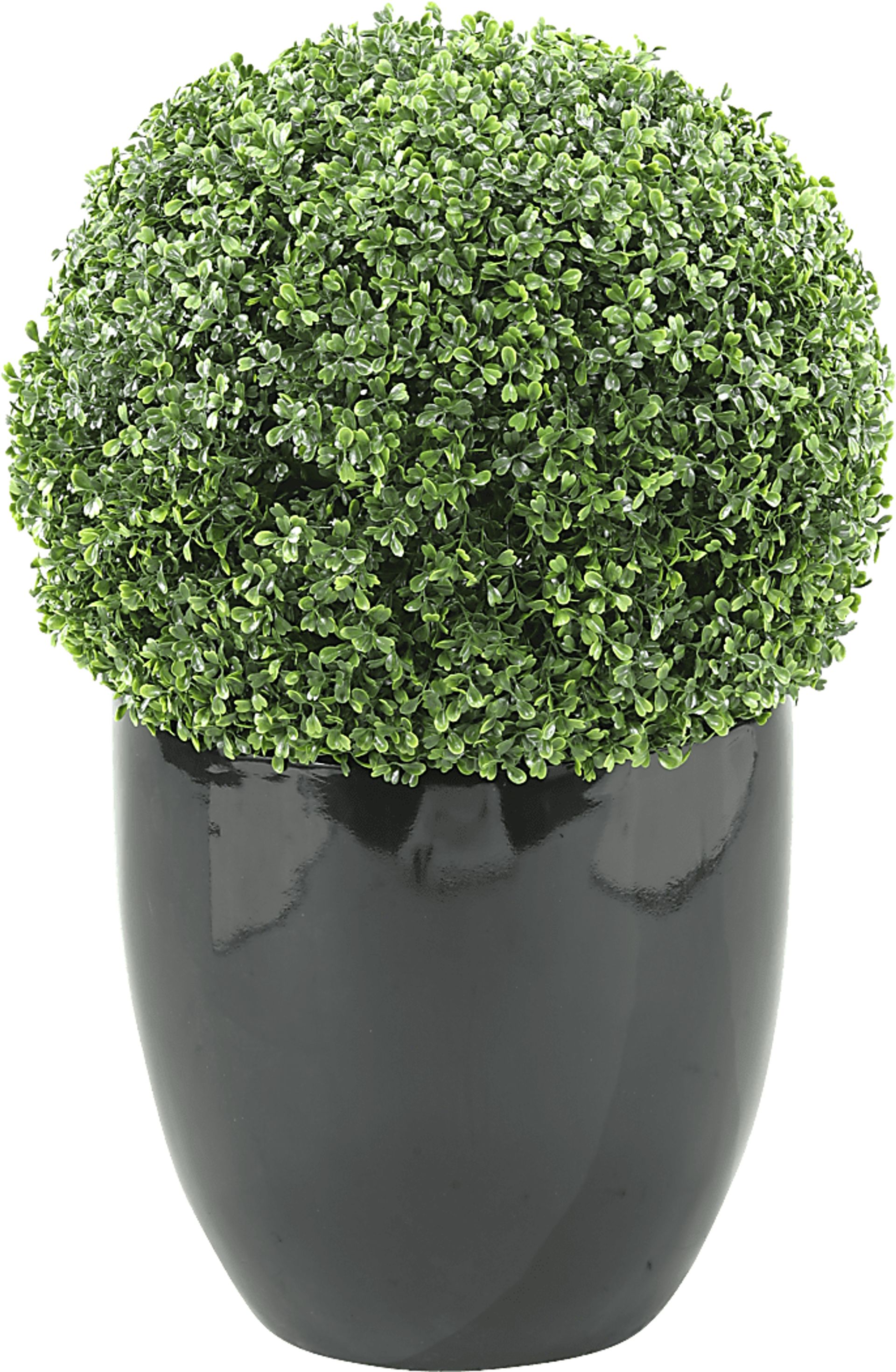 Elland Green 30 in. Artificial Boxwood Ball in Black Planter - Image 1