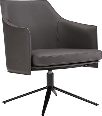 Ellenrich Dark Gray Accent Chair