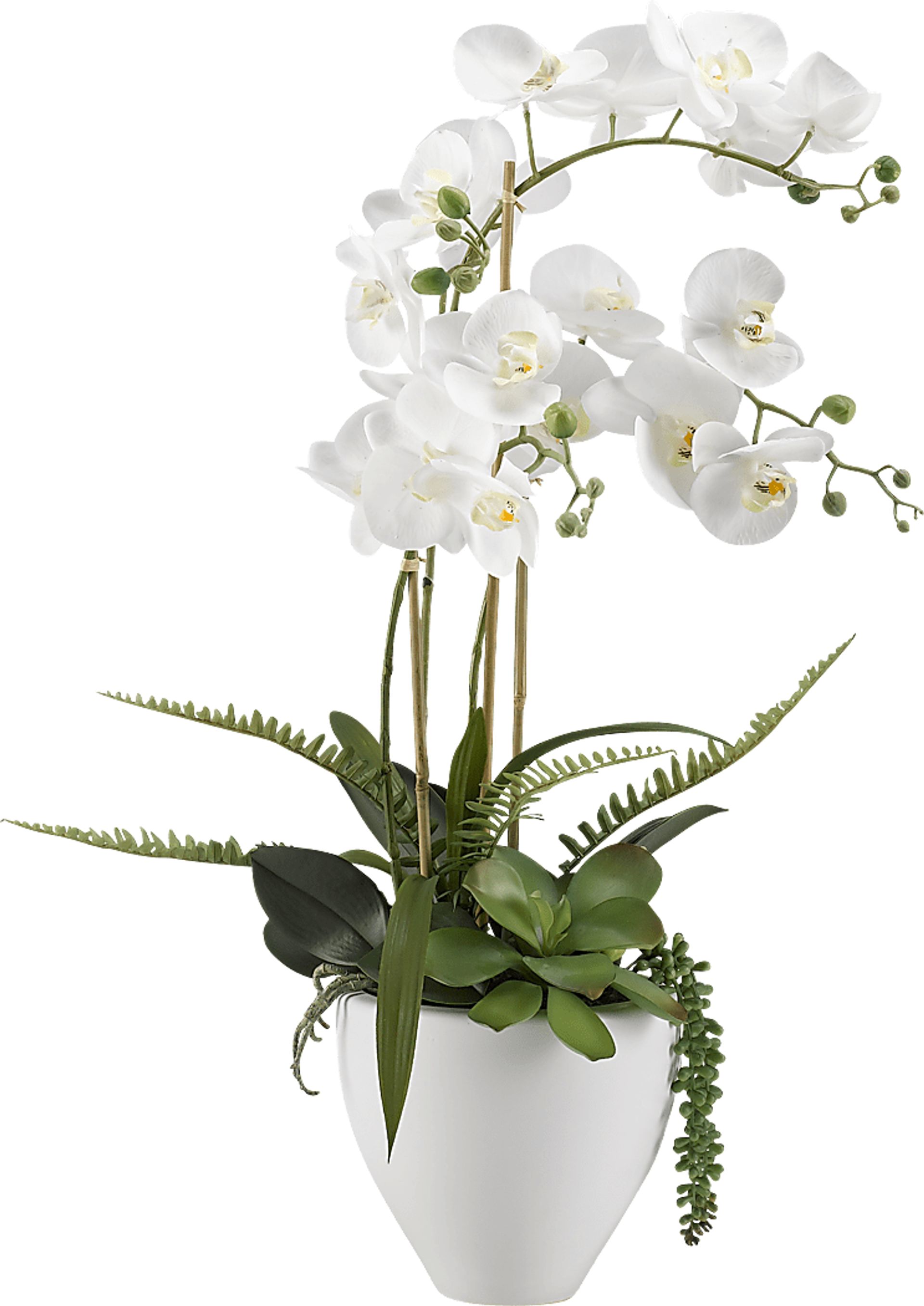 Elmir White Orchid Flower Arrangement - Image 1