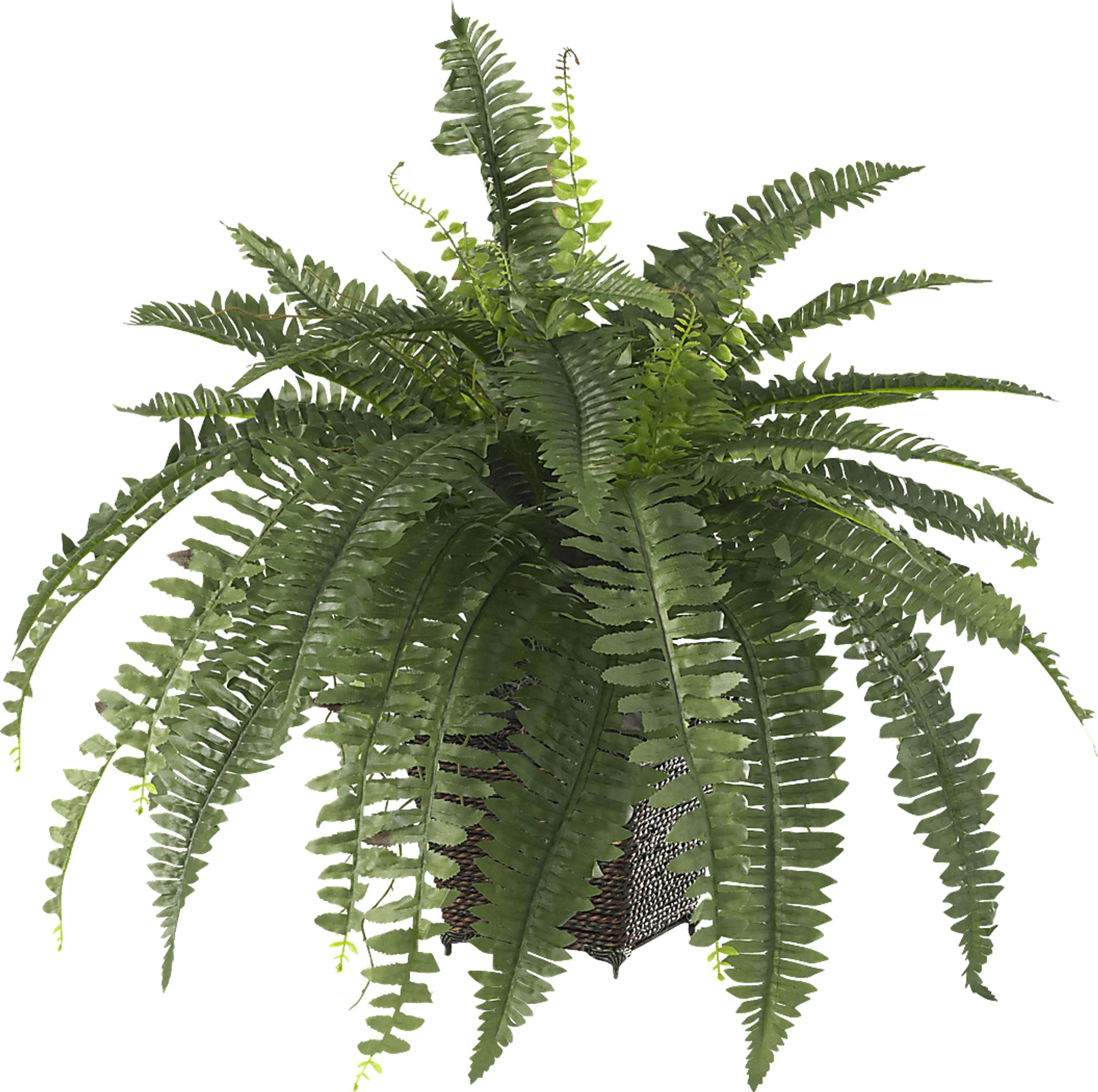 Emelia Green Fern Silk Plant - Image 2