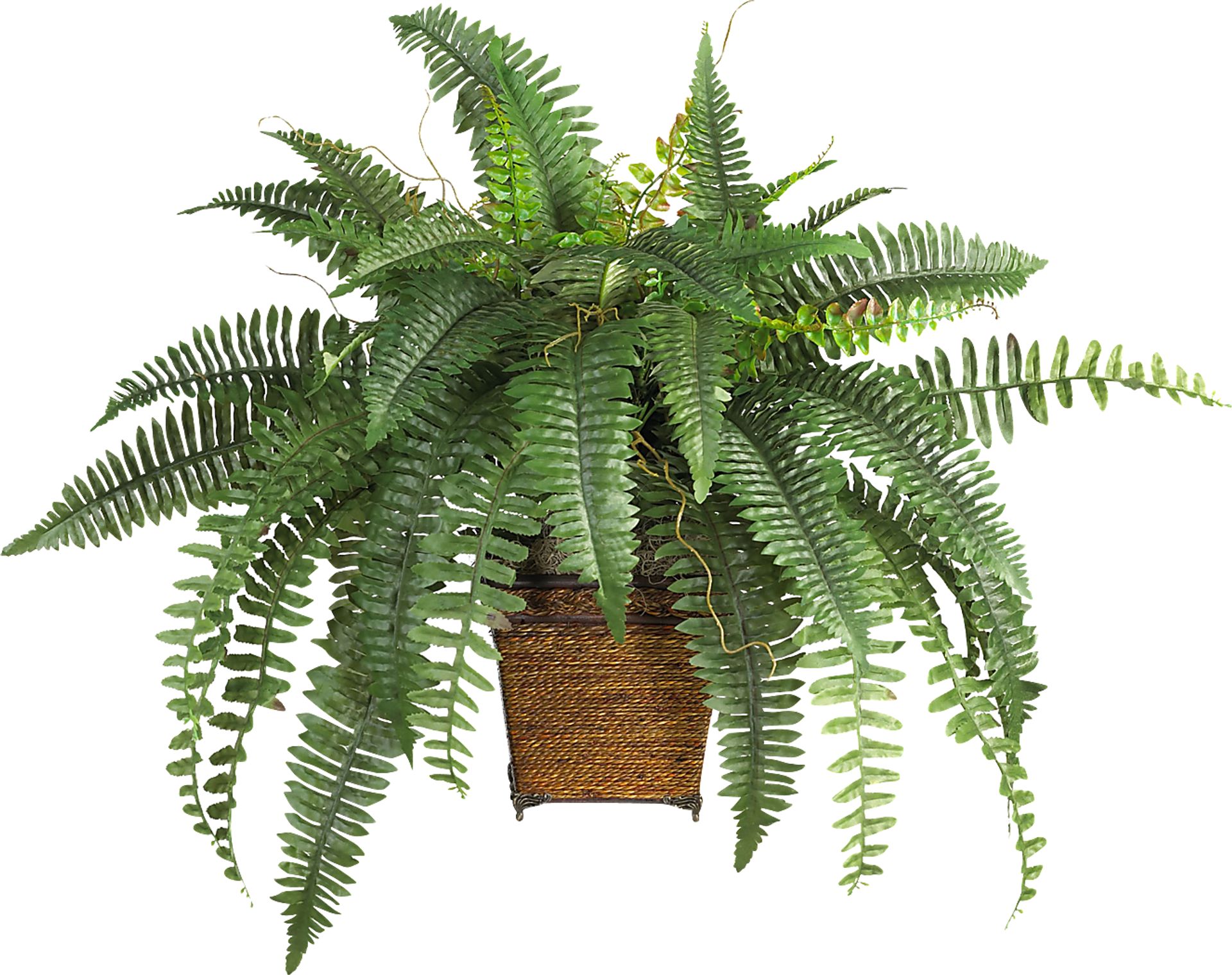 Emelia Green Fern Silk Plant - Image 1