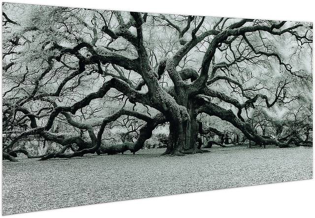 Enchanting Tree Artwork - Thumbnail - Image 2