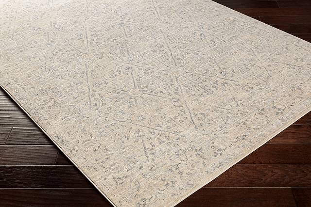 Eriny Beige 5'3 x 7'3 Rug - Thumbnail - Image 2