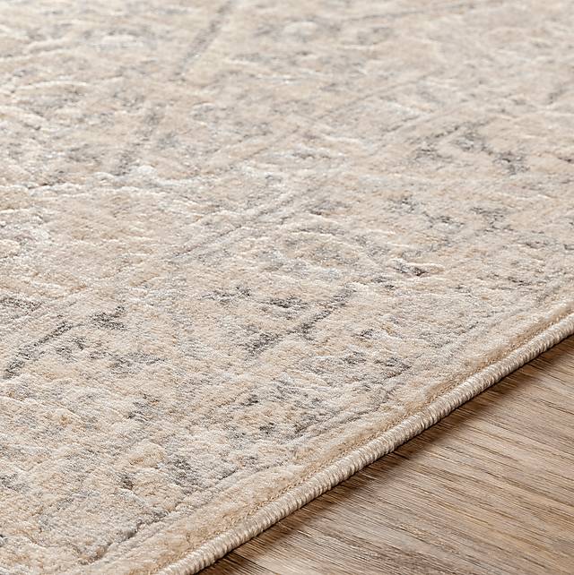 Eriny Beige 5'3 x 7'3 Rug - Thumbnail - Image 3