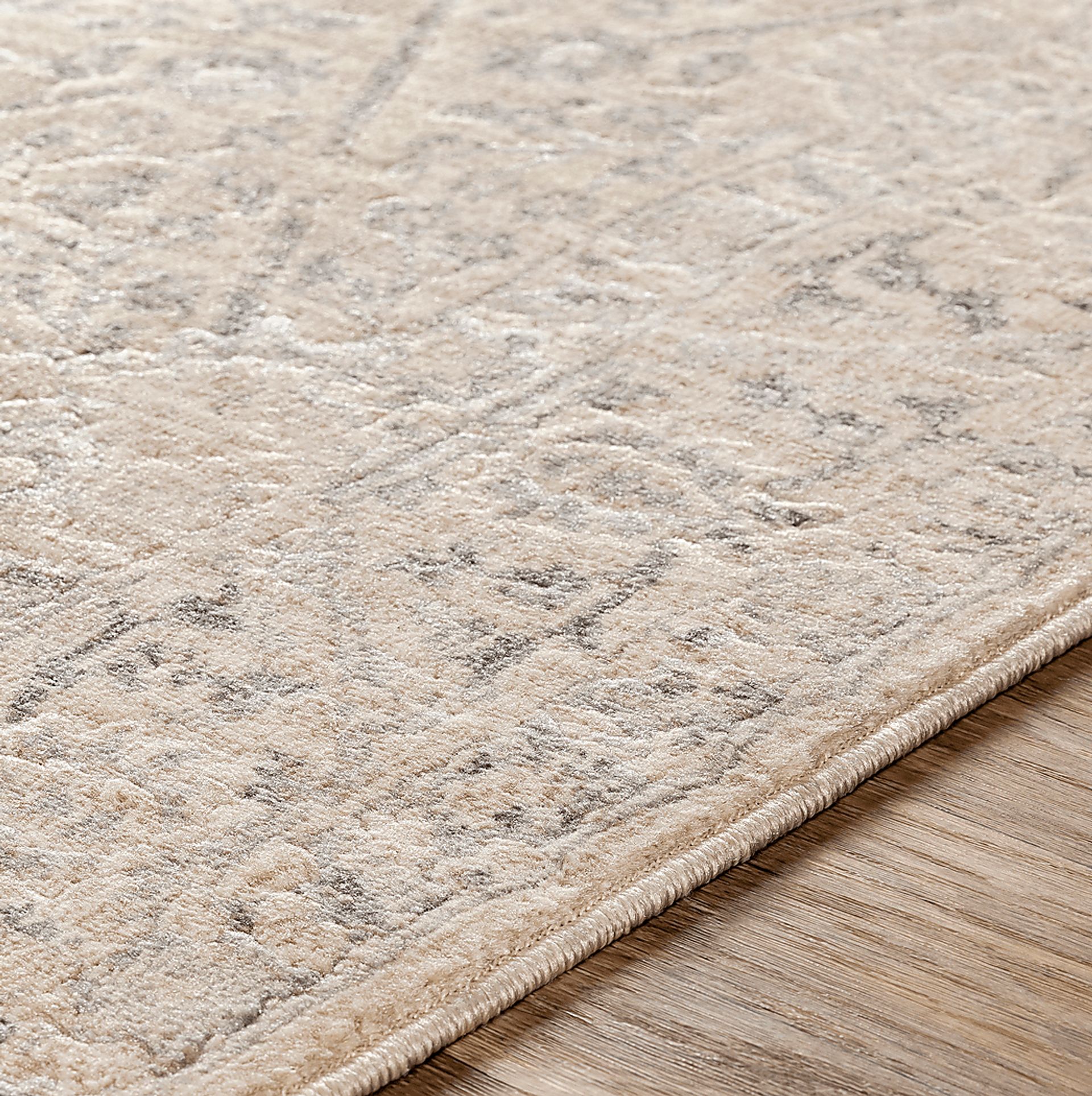 Eriny Beige 5'3 x 7'3 Rug - Image 3