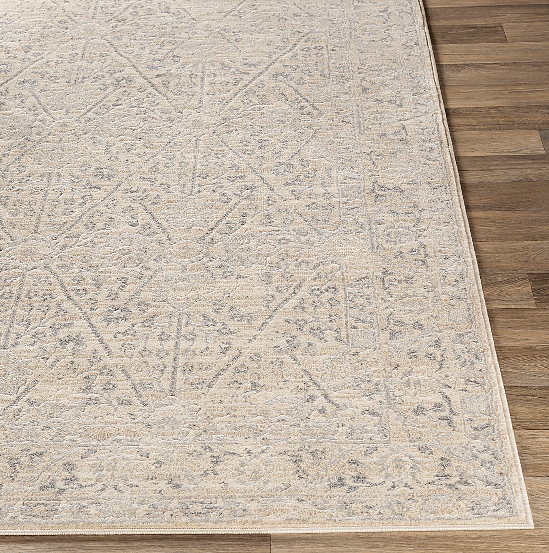 Eriny Beige 5'3 x 7'3 Rug - Image 5