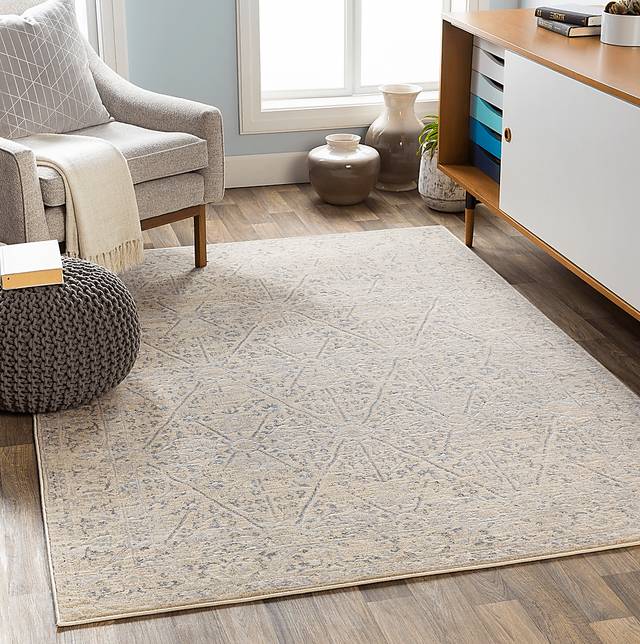 Eriny Beige 5'3 x 7'3 Rug - Thumbnail - Image 7