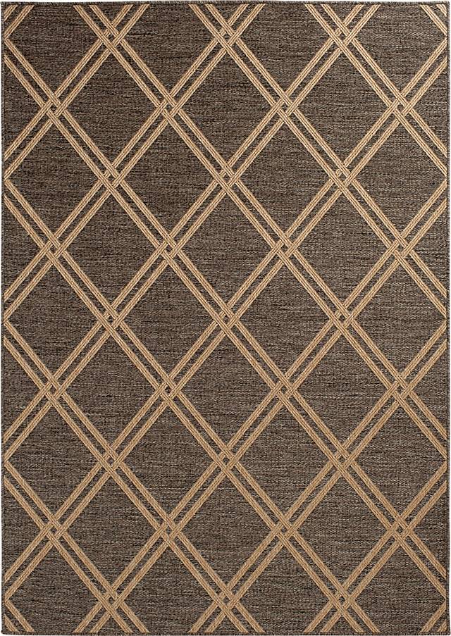 Eristy Brown 5'3 x 7'7 Indoor/Outdoor Rug - Thumbnail - Image 1