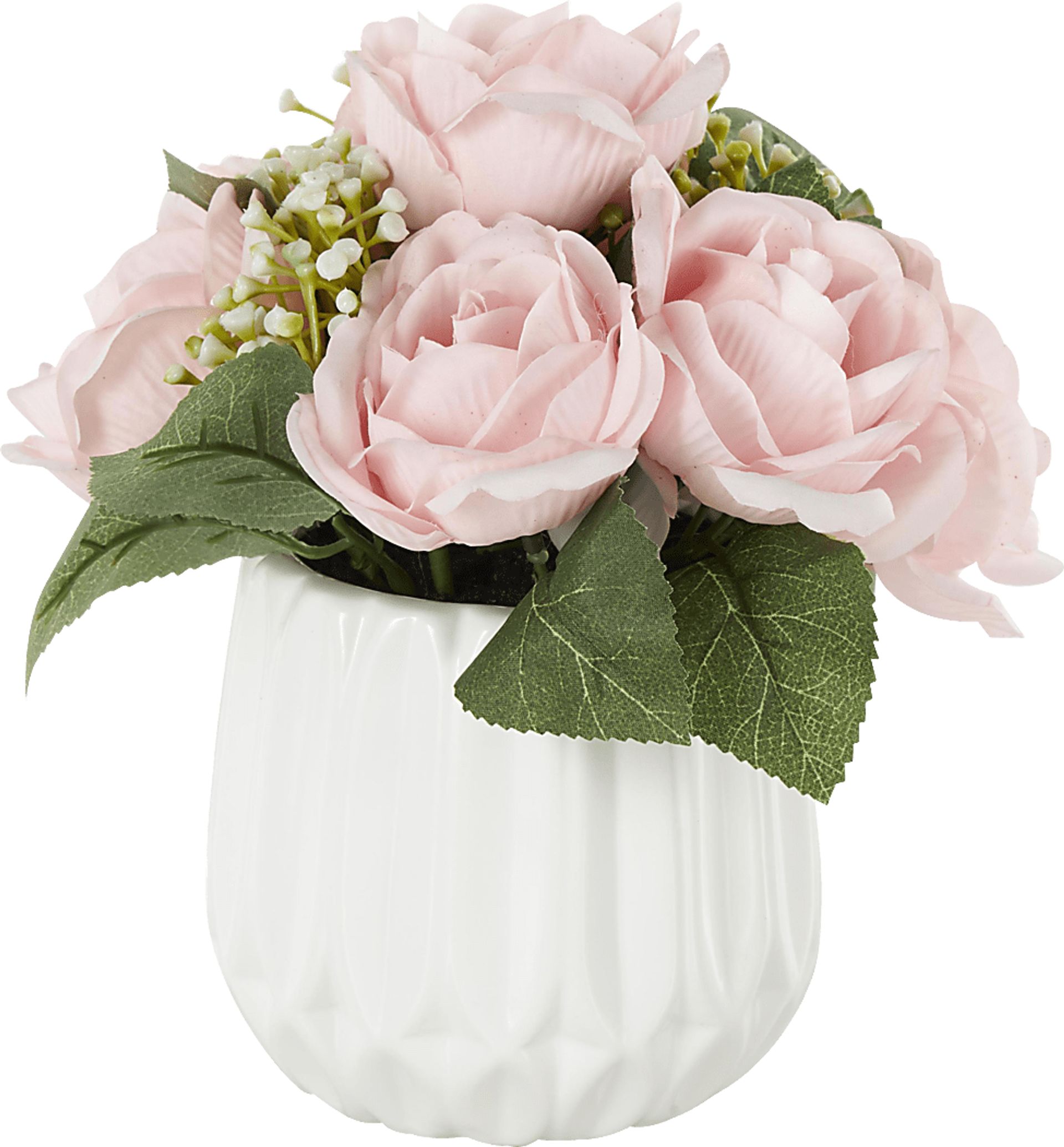 Essen White Silk Plant - Image 2
