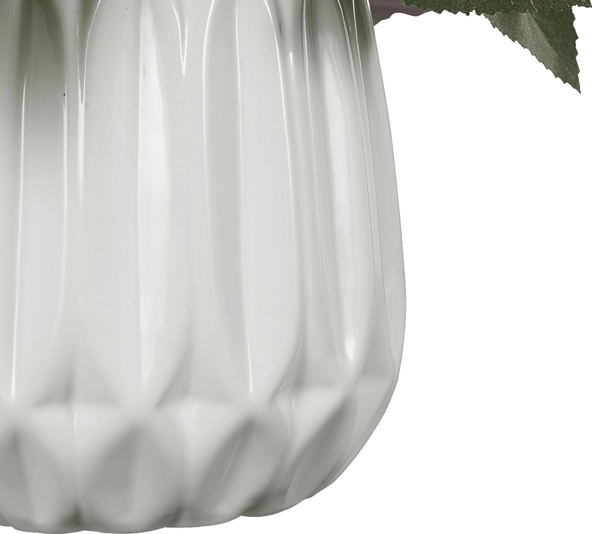 Essen White Silk Plant - Image 3