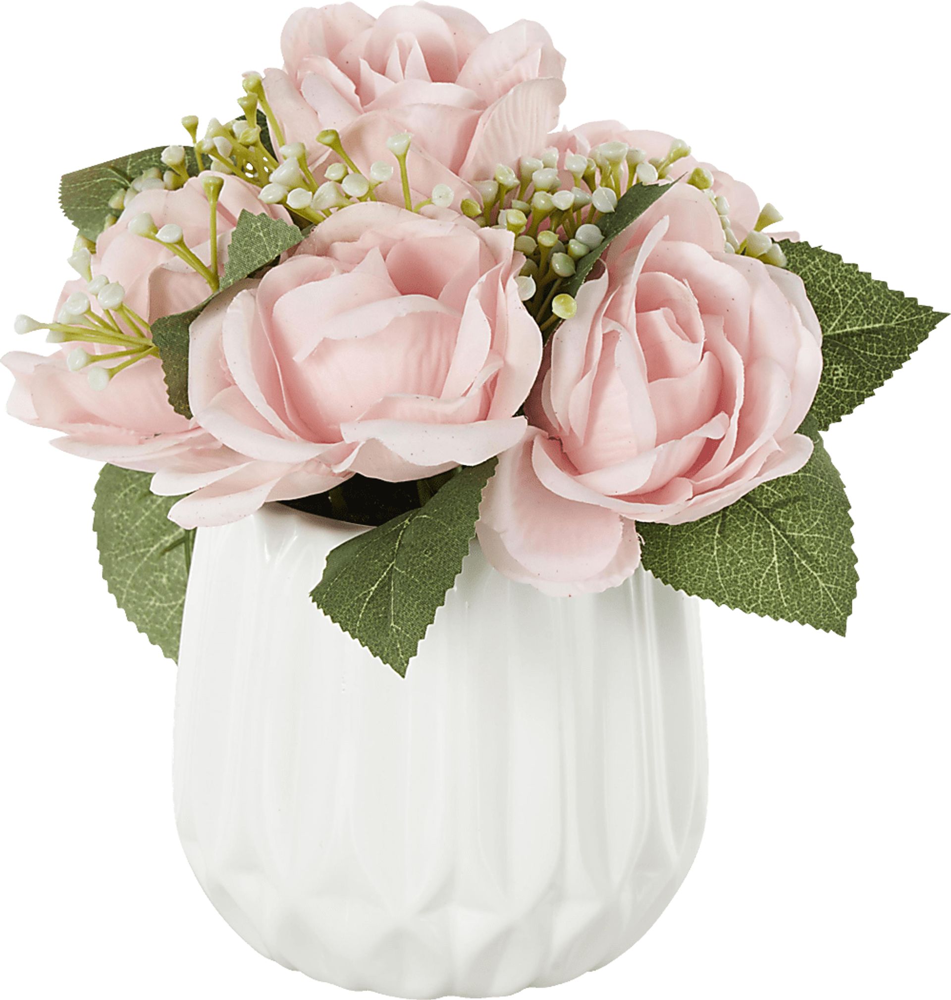Essen White Silk Plant - Image 4