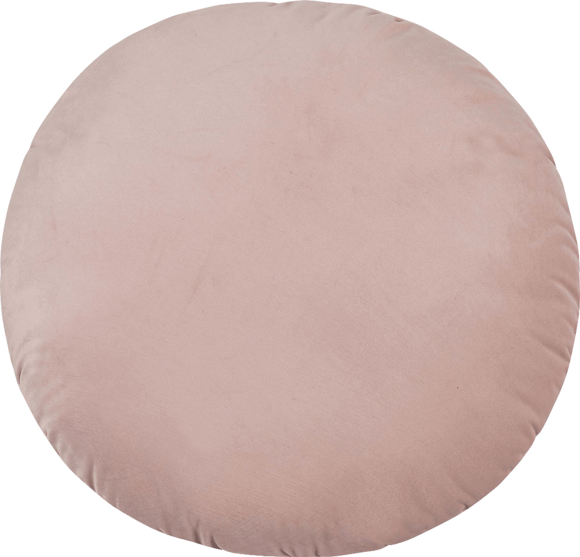 Estella Ann Blush Pillow - Image 1