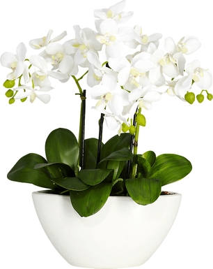 Estella Green Orchid Silk Floral