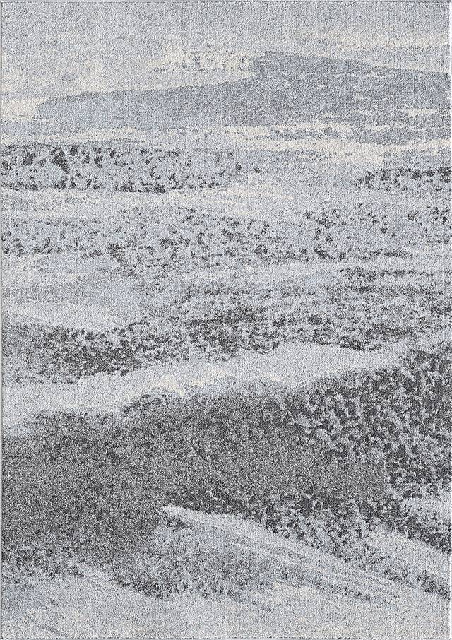 Esterlita Blue/Gray 7'10 x 10'10 Rug - Thumbnail - Image 1