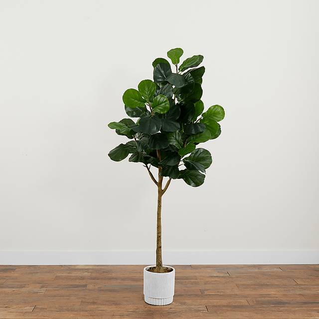Esturion Green Tree with Planter - Thumbnail - Image 3