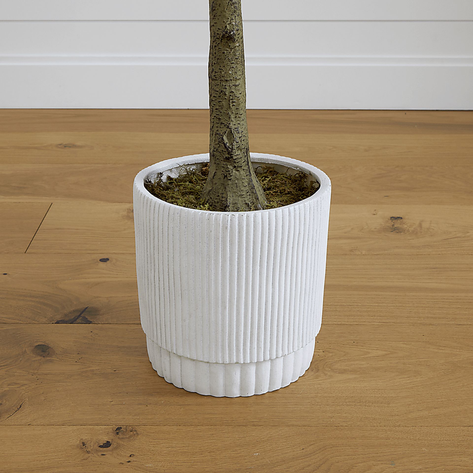 Esturion Green Tree with Planter - Image 4