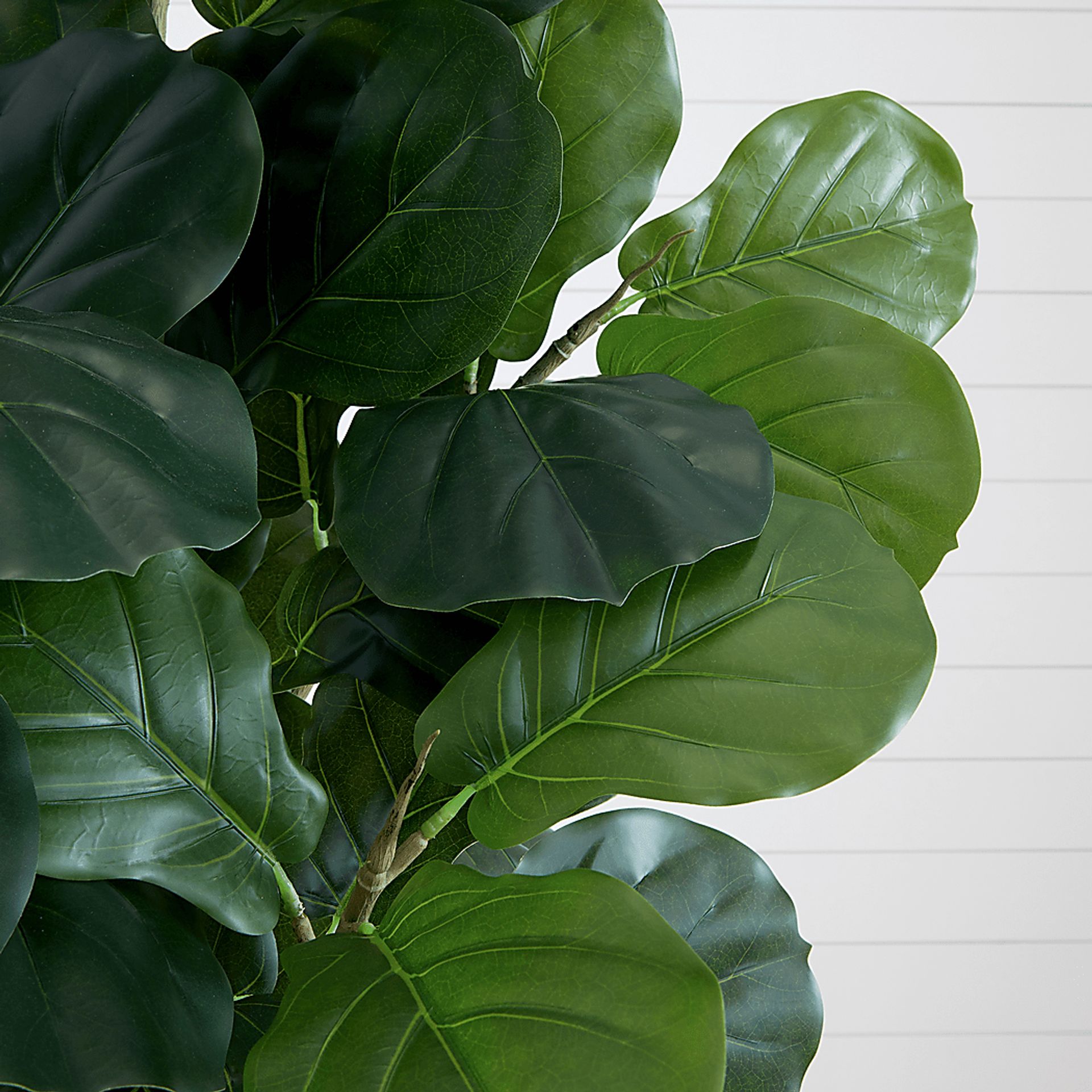 Esturion Green Tree with Planter - Image 5
